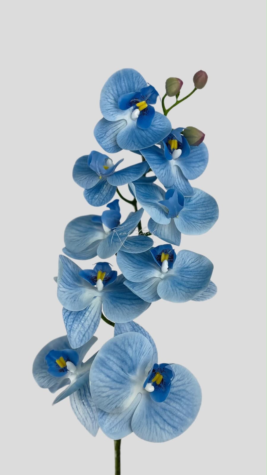 Blue orchid dress